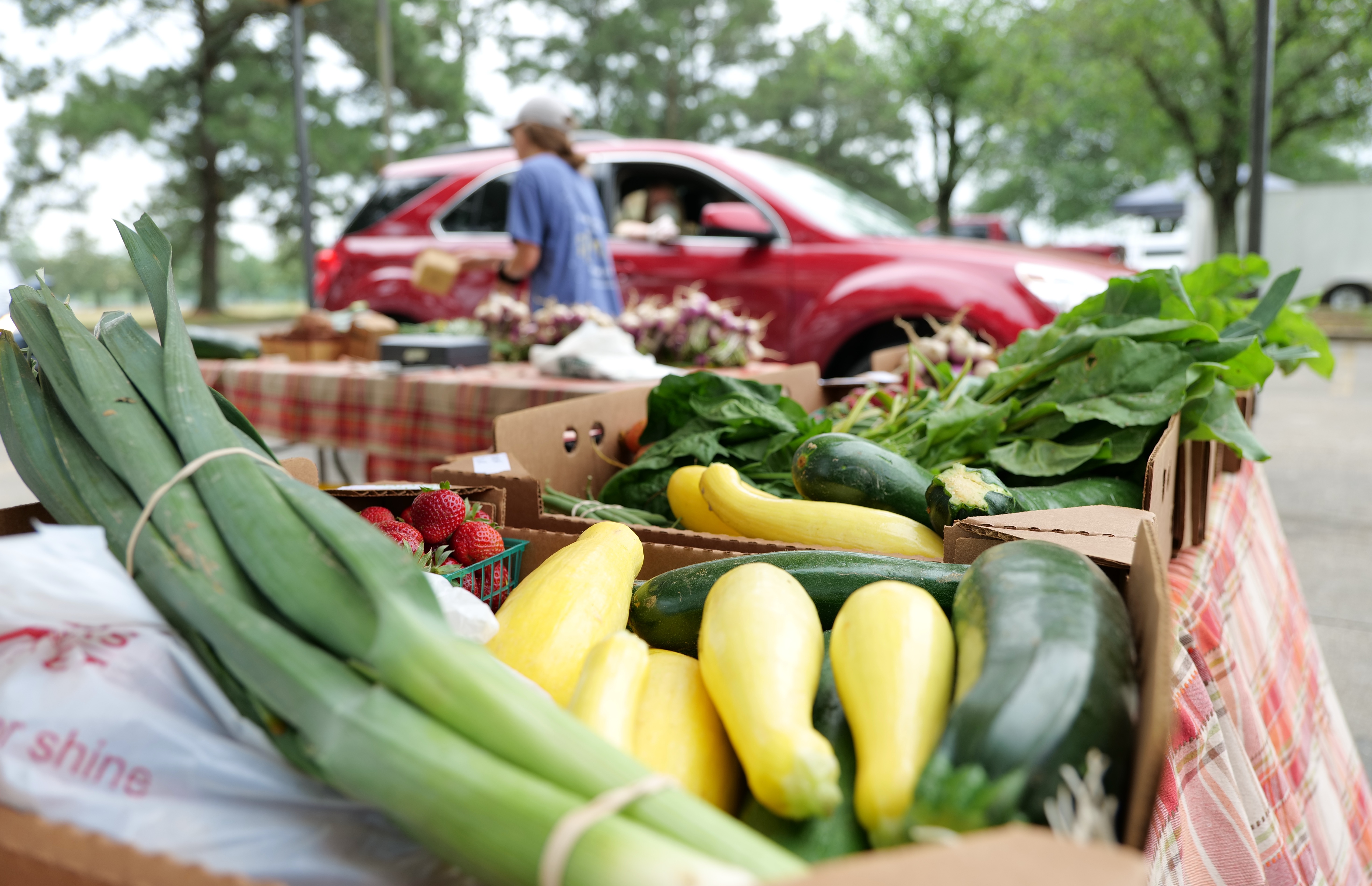 CSA share boxes  at farmers marketJPG.jpeg thumbnail